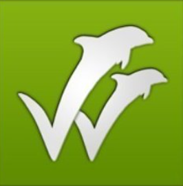 WISEflow logo